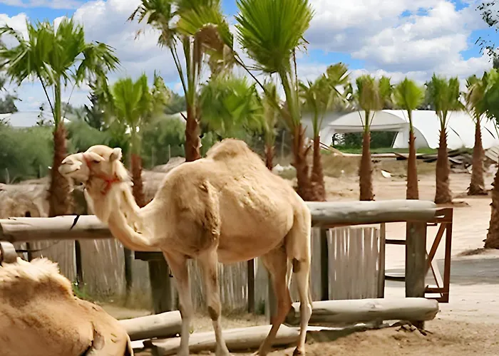 Charming In Larnaca With Sea View - 73 M² *