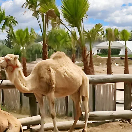 Charming In Larnaca With Sea View - 73 M² *